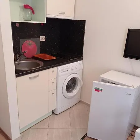 тарантула Apartment Sunny Beach